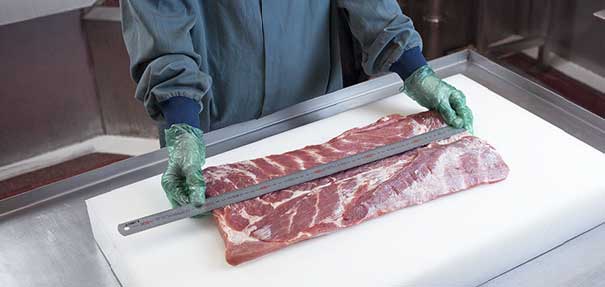 Operative measuring bacon for further production